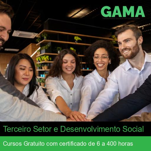 Terceiro Setor e Desenvolvimento Social
